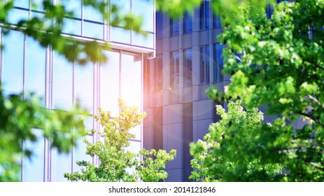 Eco architecture  Green tree   glass office building  The harmony nature   modernity  Reflection modern commercial building glass and sunlight  