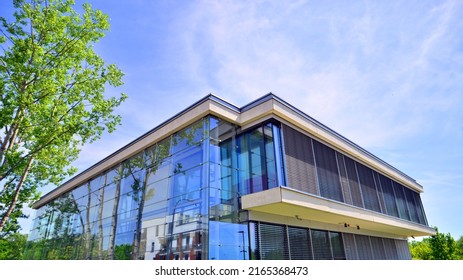 Eco Architecture. Green Tree And Glass Office Building. The Harmony Of Nature And Modernity. Reflection Of Modern Commercial Building On Glass With Sunlight. 