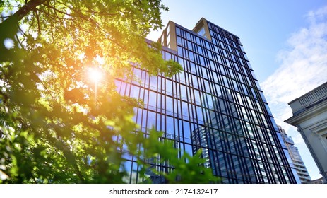 Eco architecture. Green tree and glass office building. The harmony of nature and modernity. Reflection of modern commercial building on glass with sunlight.  - Shutterstock ID 2174132417