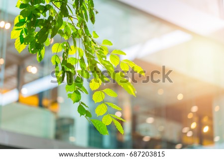 eco building or green office plant tree and garden in city concept.