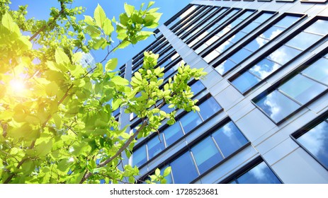 Öko-Gebäude in modernem Stadtkonzept. Modernes Bürogebäude mit frisch grünen Blättern. 