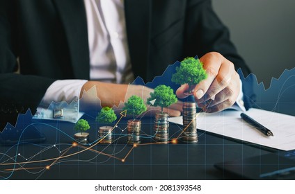 Eco business investment. Green business growth. Businessman holding coin with tree growing on money coin stack. Finance sustainable development.Concept of pass and increase of renewable energy.