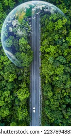 Eco car on forest road with earth planet going through forest, Ecosystem ecology healthy environment road trip travel, Eco car with nature, Electric car and earth EV electrical energy for environment. - Shutterstock ID 2237694883