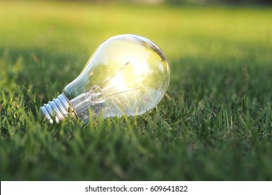 Eco Concept - Lightbulb In Green Nature In Bright Light