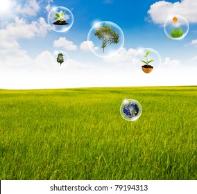 eco concept : tree, flower,earth in bubbles