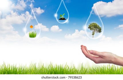 Eco concept : tree in water drop against the sun and the blue sky - Shutterstock ID 79538623