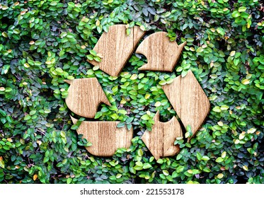 Eco Concept :Wood Texture Recycle Icon On Green Leaves Wall