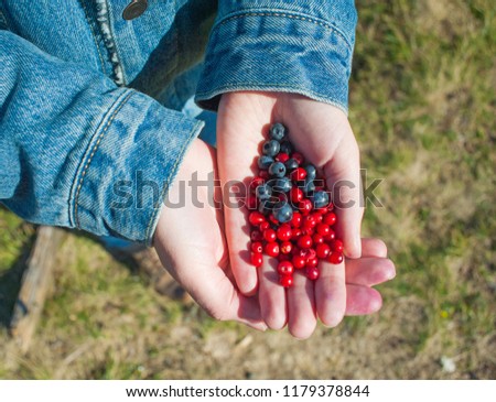 Eco conscious concept with person holding berries in hands, Enviromental friendly background with fall berry harvest Stock photo © 