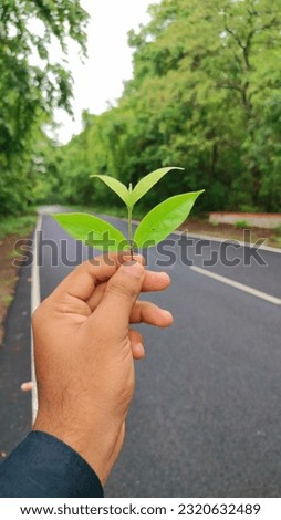 Eco conscious concept with person holding leaf in hands, Enviromental friendly background

 Stock photo © 