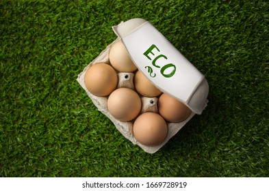 Eco easter eggs on grass