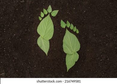 eco footprints 