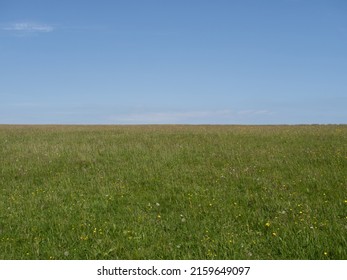 Eco Friendly Agriculture - Unmown Meadow With Wild Flowers, UK, May. With Horizon.