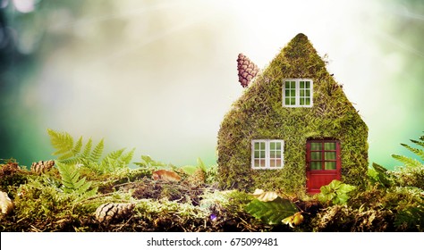 Eco friendly house concept with moss covered model home outdoors in a garden with copy space amongst green ferns