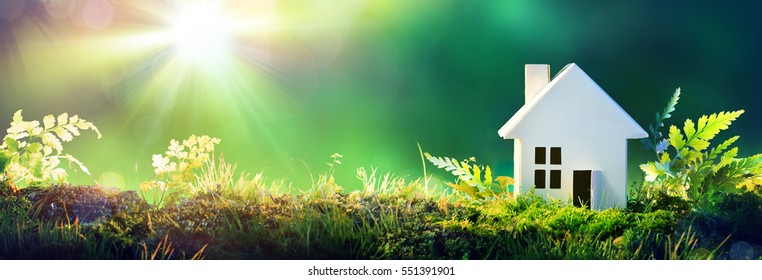 Eco Friendly House - Paper Home On Moss In Garden
