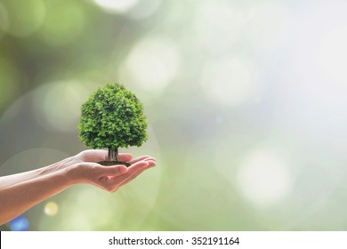Eco friendly living with nature with sustainable environment and ecosystem conservation concept - Shutterstock ID 352191164