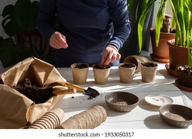 Eco Friendly Pots For Planting Seeds, Paper Bag With Ground And Garden Trowel And Rakes, Tomato Seeds, A Woman Is Planting Seedlings At Home