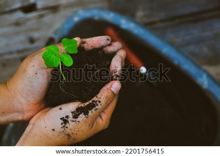 Eco green earth environment concept. Hand with growing tree on earth day with sunlight bokeh in morning. Save world energy protect by plant tree in soil and watering.
