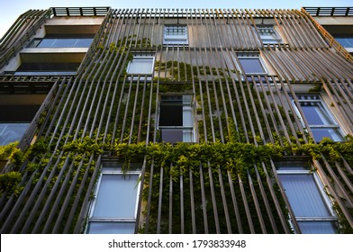 Eco Home With Frame For Ivy On The Facade Of A Modern Apartment Building In Copenhagen, Denmark