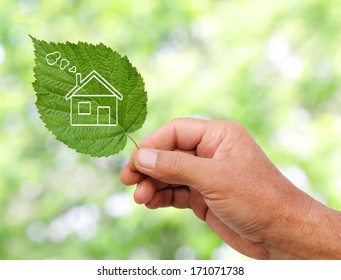 Eco house concept, hand holding eco house icon in nature 