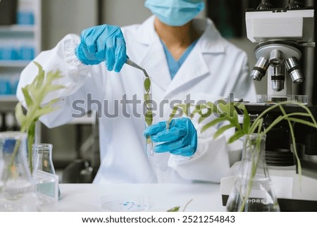 Eco laboratory microbiology. Sample in a Microscope and comparing a plant or herb in test tube or glassware. Natural product and organic cosmetic health care. 