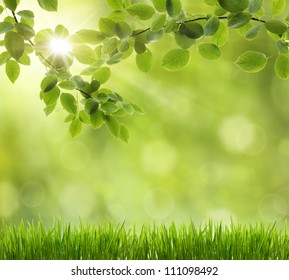 Eco Nature / Green And Blue Abstract Defocused Background With Sunshine