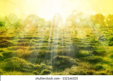 Eco Nature With Sun Beam / Green  Landscape Background With Sunshine/ Abstract Spring And Summer Backgrounds