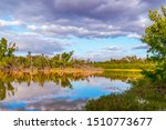 Eco Pond in Everglades National Park. Florida. USA