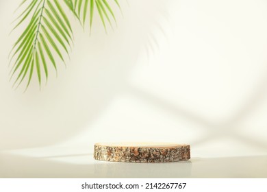 Eco rustic pine tree wood disc platform podium and tropical leaf on white light and shadow copy spase background. Minimal empty display product presentation scene - Shutterstock ID 2142267767
