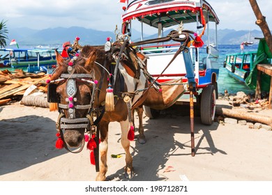 Eco Transport On Tropical Islands Gili,Indonesia