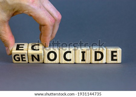 Ecocide or genocide symbol. Businessman turns cubes and changes the word genocide to ecocide. Beautiful grey background, copy space. Business, ecological and genocide or ecocide concept.