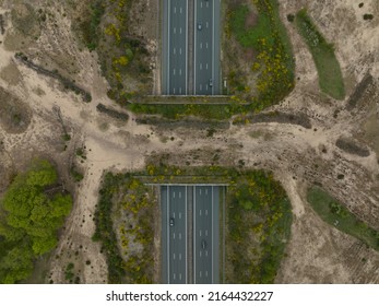 Ecoduct Ecopassage Or Animal Bridge Crossing Over The A12 Highway In The Netherlands. Top Down View. Structure Connecting Forrest Ecology Landscape Over The Freeway