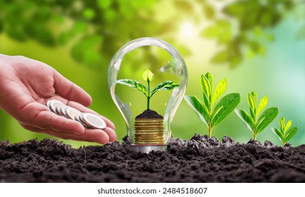 An eco-economy aims to minimize environmental impact by integrating sustainable economic policies, focusing on efficient resource use,carbon emission reduction,renewable energy,sustainable agriculture - Powered by Shutterstock