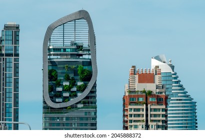 Eco-friendly Building In The Modern City. Green Tree In Vertical Garden On Sustainable Glass Building For Reducing Heat And Carbon Dioxide. Office Building With Green Environment. Go Green Concept.