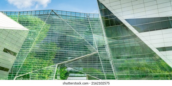 Eco-friendly building in the modern city. Sustainable glass office building with tree for reducing heat and carbon dioxide. Office building with green environment. Corporate building reduce CO2. - Shutterstock ID 2162102575