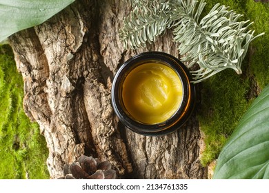 Eco-friendly cosmetic product for skin care.Natural cream in glass jar with oils, aloe, vitamins for healthy lies on natural green forest moss and tree bark. Organic eco bio beauty cosmetics. top view