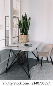 Eco-friendly natural interior and design of a modern office workplace with a desk, a chair and a computer and a pot with an indoor plant. Home office. Selective focus - Shutterstock ID 2140735357