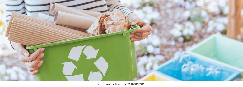 Eco-friendly person taking care of ecosystem by sorting paper to green container. Recycling concept