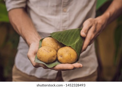 Eco-friendly product packaging concept. Potato wrapped in a banana leaf, as an alternative to a plastic bag. Zero waste concept. Alternative packaging