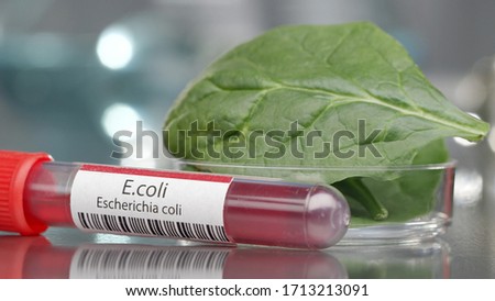 E.coli antibodies next to bowl of spinach in medical lab
