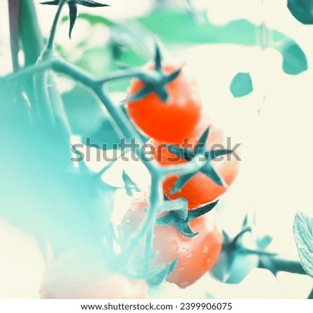 Similar – Image, Stock Photo #A# Red on style Nature