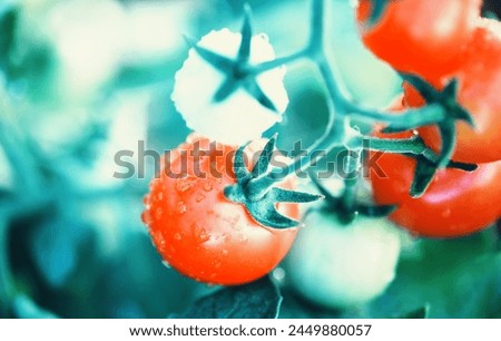 Similar – Image, Stock Photo #A# Red on style Nature