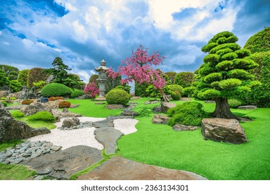 Ecological Garden in designed feng shui with cypress, pine, water and ancient trees bearing traditional culture Japanese. - Powered by Shutterstock