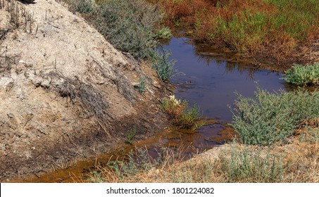 The ecological problem of poor countries is the discharge of Liquid industrial waste into public water bodies. Environmental contamination with liquid toxic industrial waste