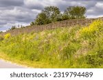 Ecological sound barrier earth wall with wicker fence of willow branches. Flowers en trees are growing on the dike with vegetation. The Netherlands.