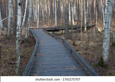 Ecological Trail In The Voronezh Biosphere Reserve