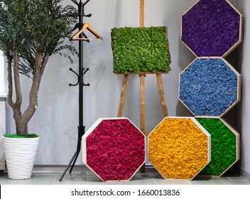 Ecology art. Green, purple and blue, red, yellow moss picture on wall