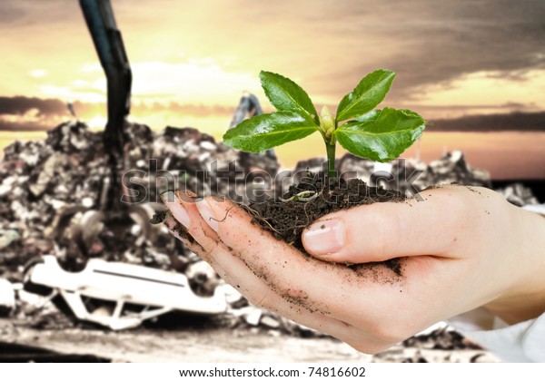 Ecology concept by small plant in hand with\
car dump in background.