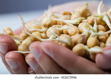 Ecology concept - close up of female hands holding sprouts.