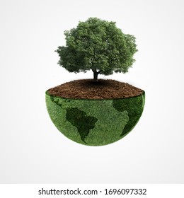 Ecology Concept, World Environment Day, Earth Day, 22 April, Green Earth, Tree Planting ,happy Earth Day, Saving The Planet, Environmentally Friendly, Save Environment Forest, World Biodiversity Day