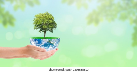 Ecology and Conservation Concept : Woman hand holding green tree growth on planet earth globe with green natural in background. (Elements of this image furnished by NASA.) - Shutterstock ID 1506668510